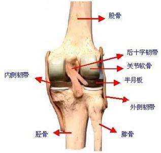 脚关节响是什么原因.jpg